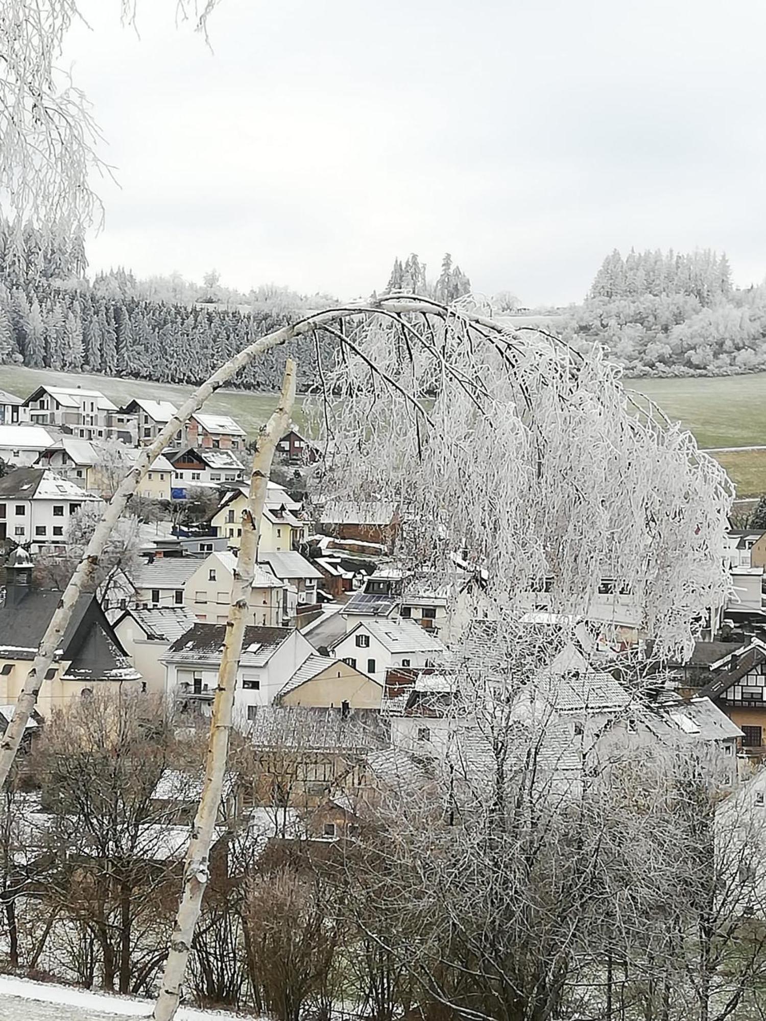 Am Lindenbaum, Ferienwohnung In Siebenbach Am Nuerburgring Eksteriør billede