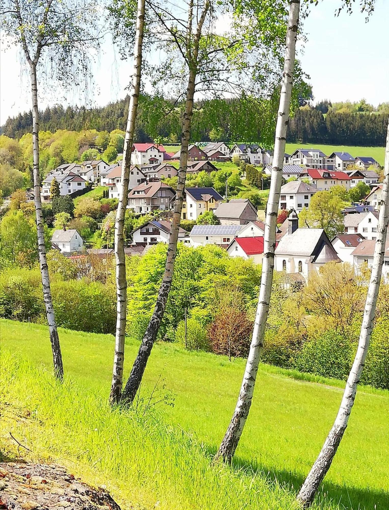 Am Lindenbaum, Ferienwohnung In Siebenbach Am Nuerburgring Eksteriør billede