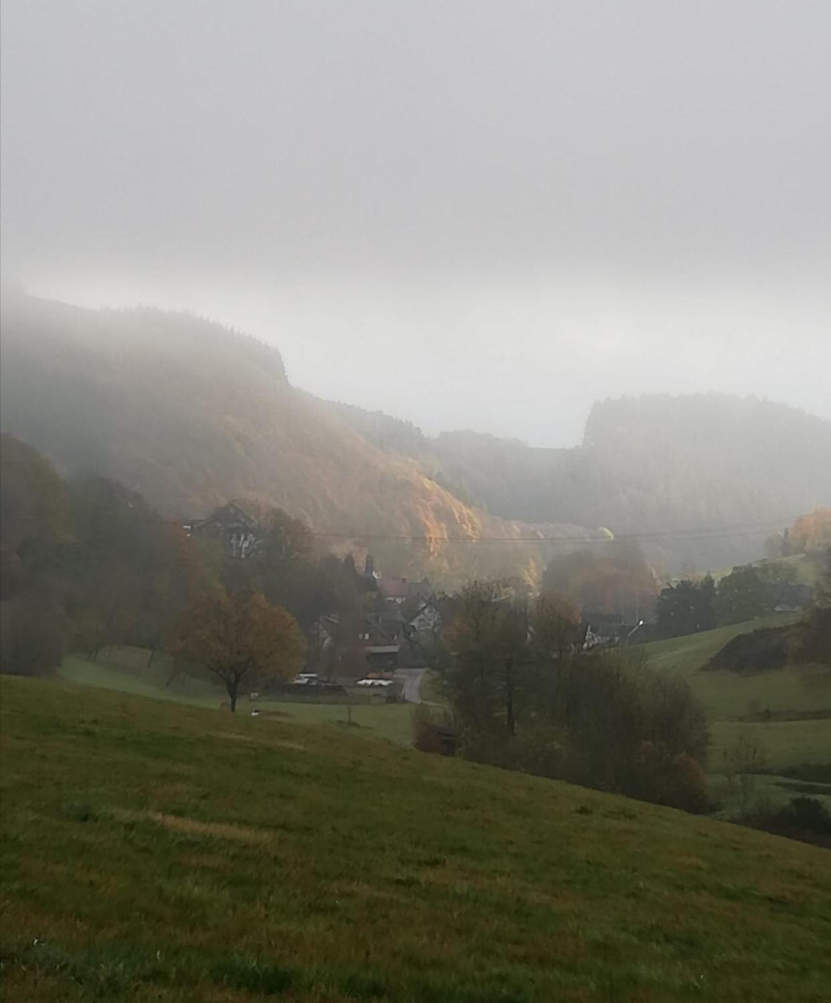 Am Lindenbaum, Ferienwohnung In Siebenbach Am Nuerburgring Eksteriør billede